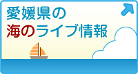 愛媛県の海のライブ情報